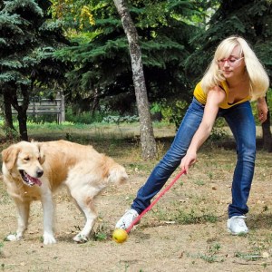 Жесткий цельный мяч ø6 см для золотистого голден ретривера